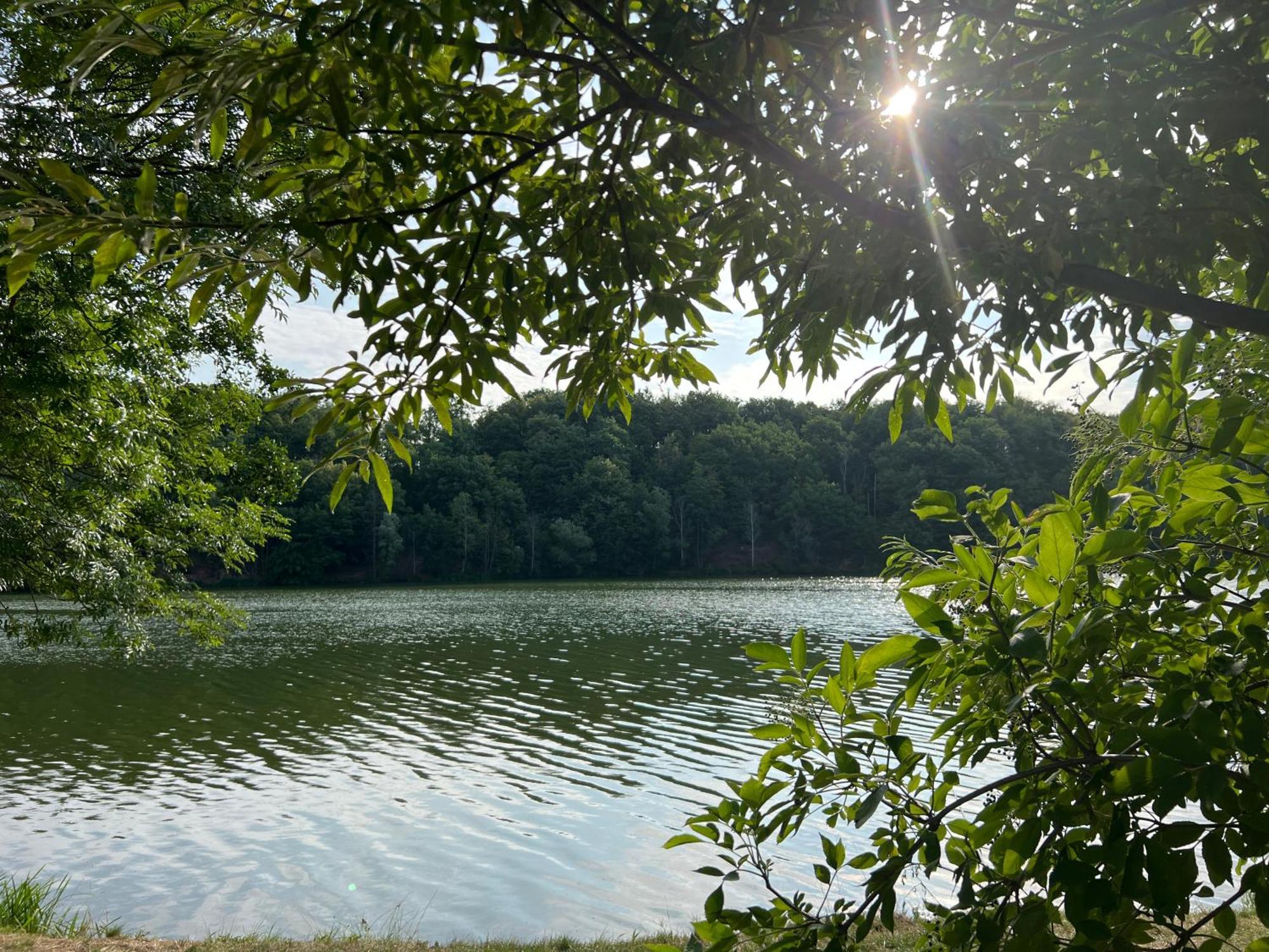 Ferienwohnungen Brenner Einchecken Und Wohlfuehlen Langenbernsdorf 외부 사진